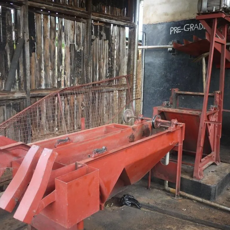 AA Kaiguri - Mutheka Farmers’ Cooperative, Nyeri