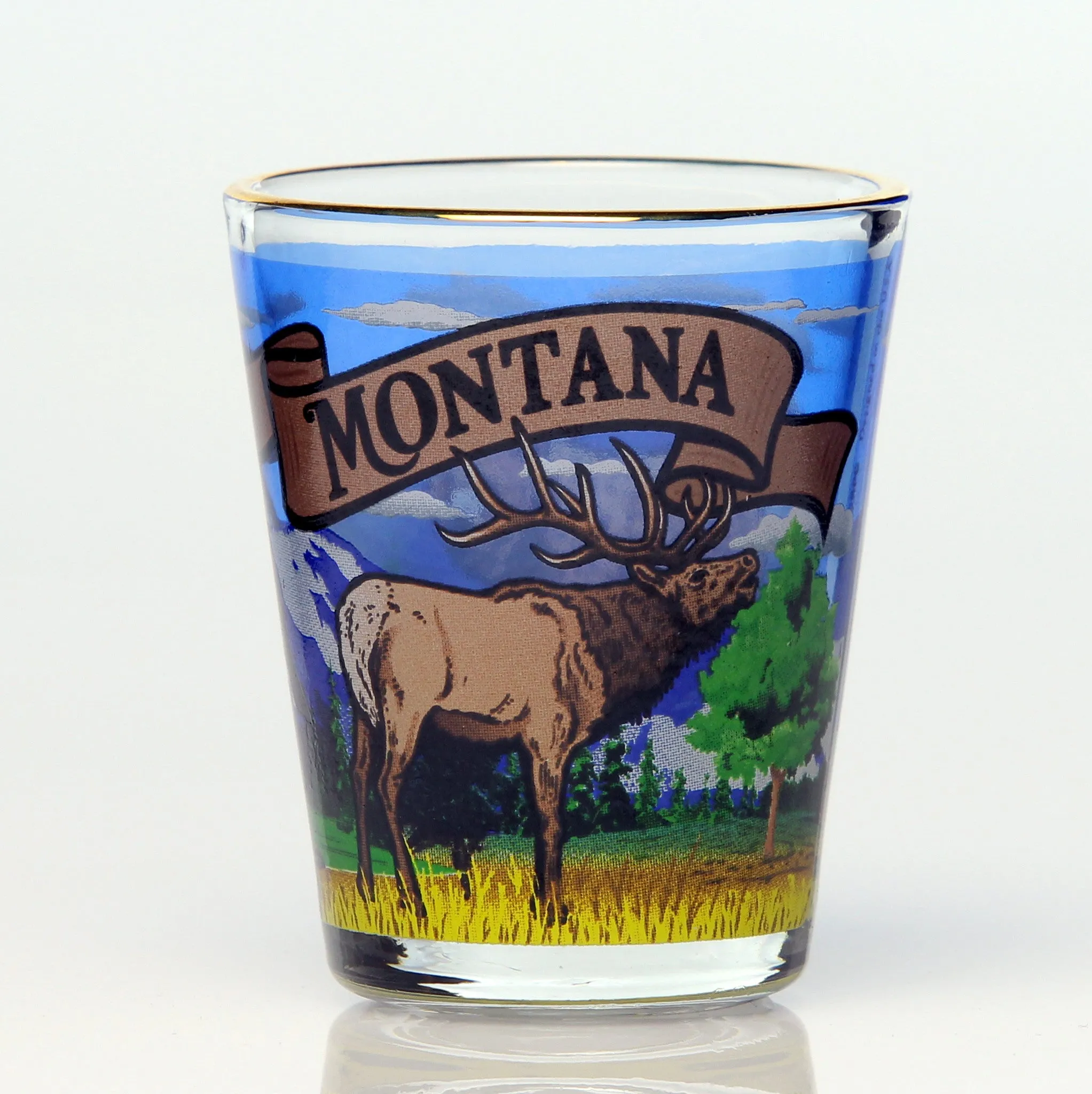 All 50 State Collectible Shot Glasses SET