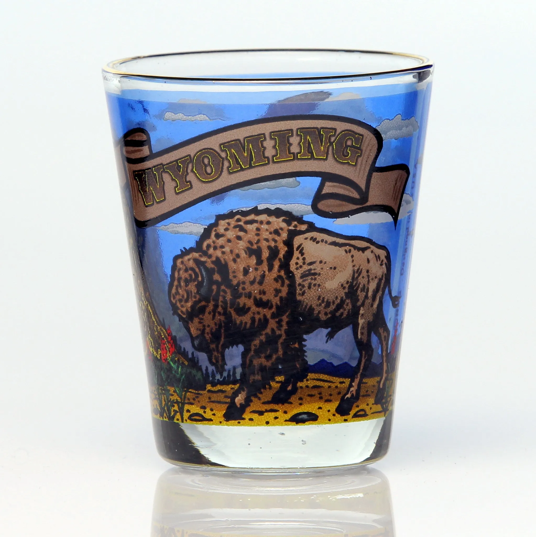 All 50 State Collectible Shot Glasses SET