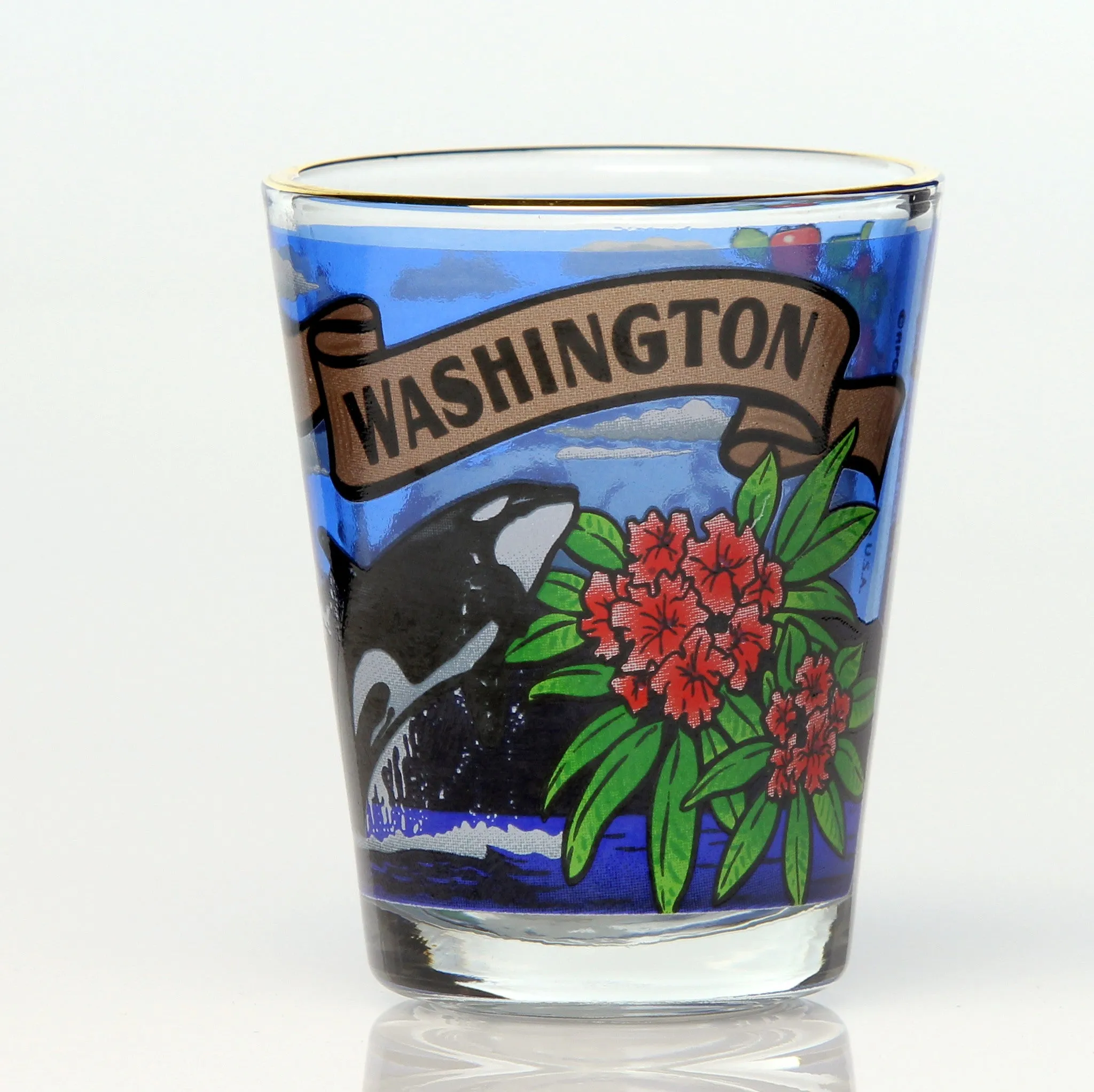 All 50 State Collectible Shot Glasses SET