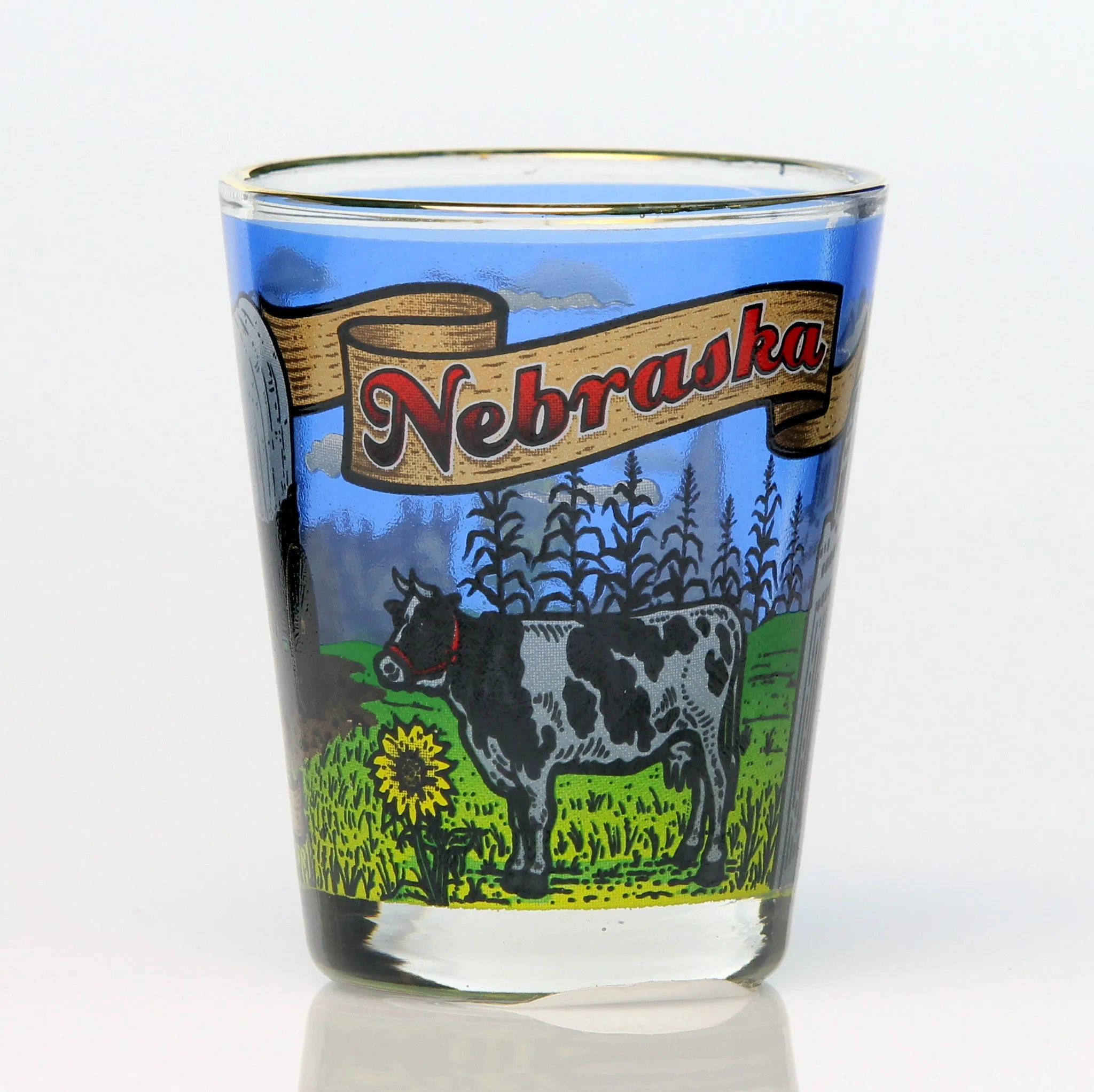 All 50 State Collectible Shot Glasses SET