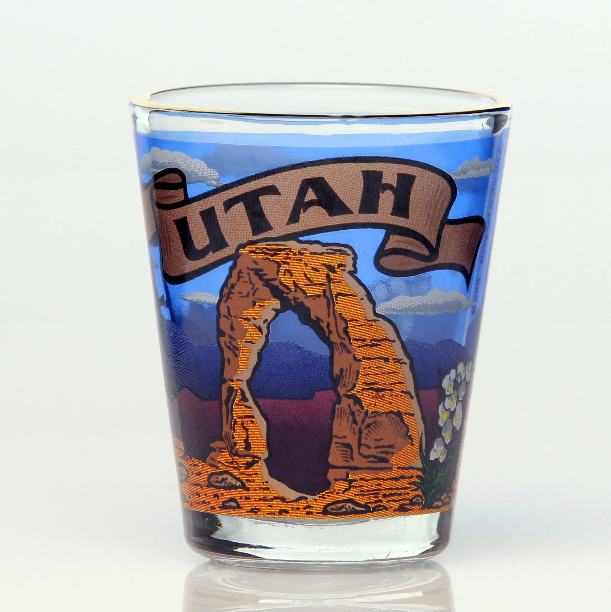 All 50 State Collectible Shot Glasses SET