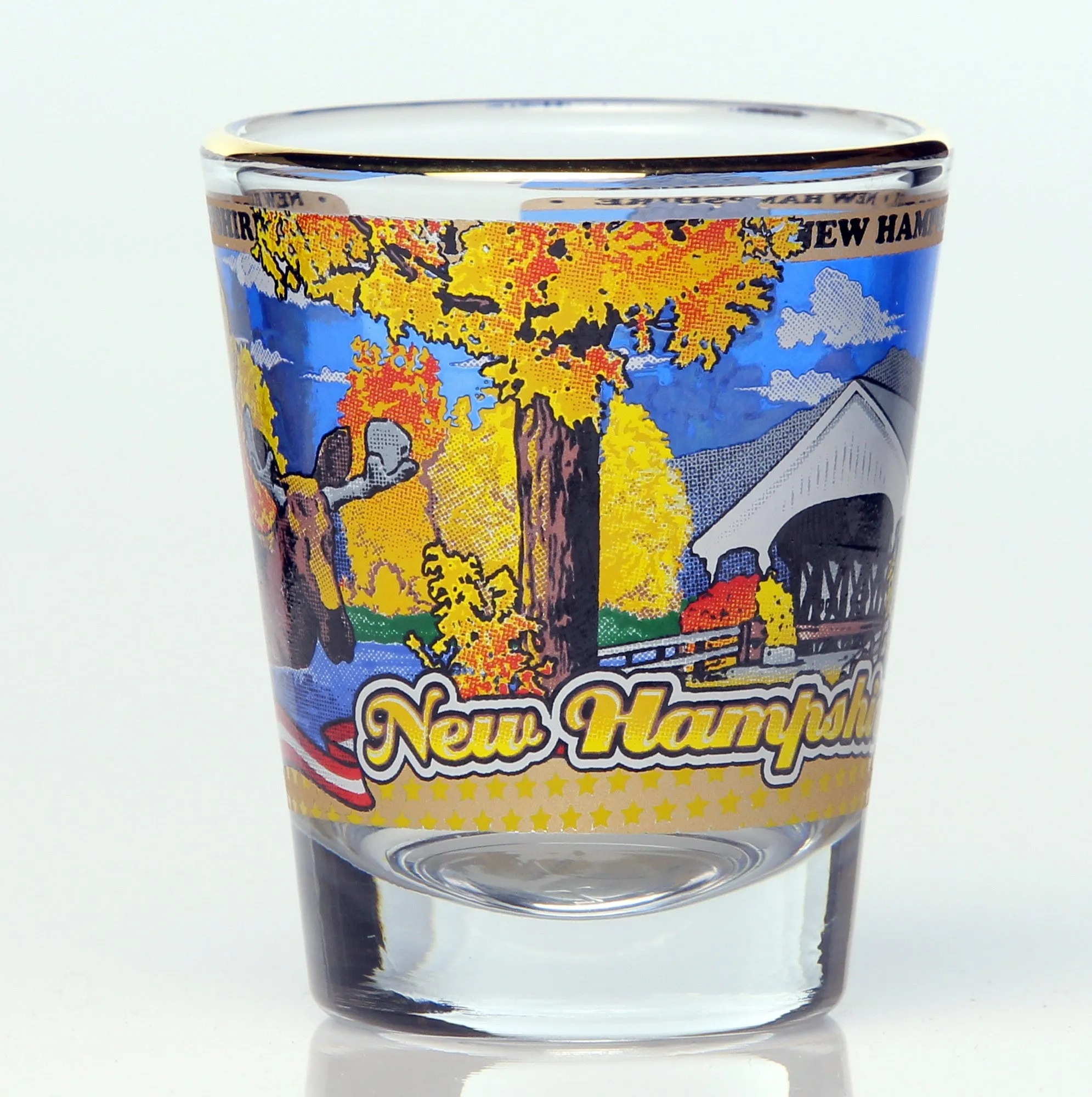 All 50 State Collectible Shot Glasses SET