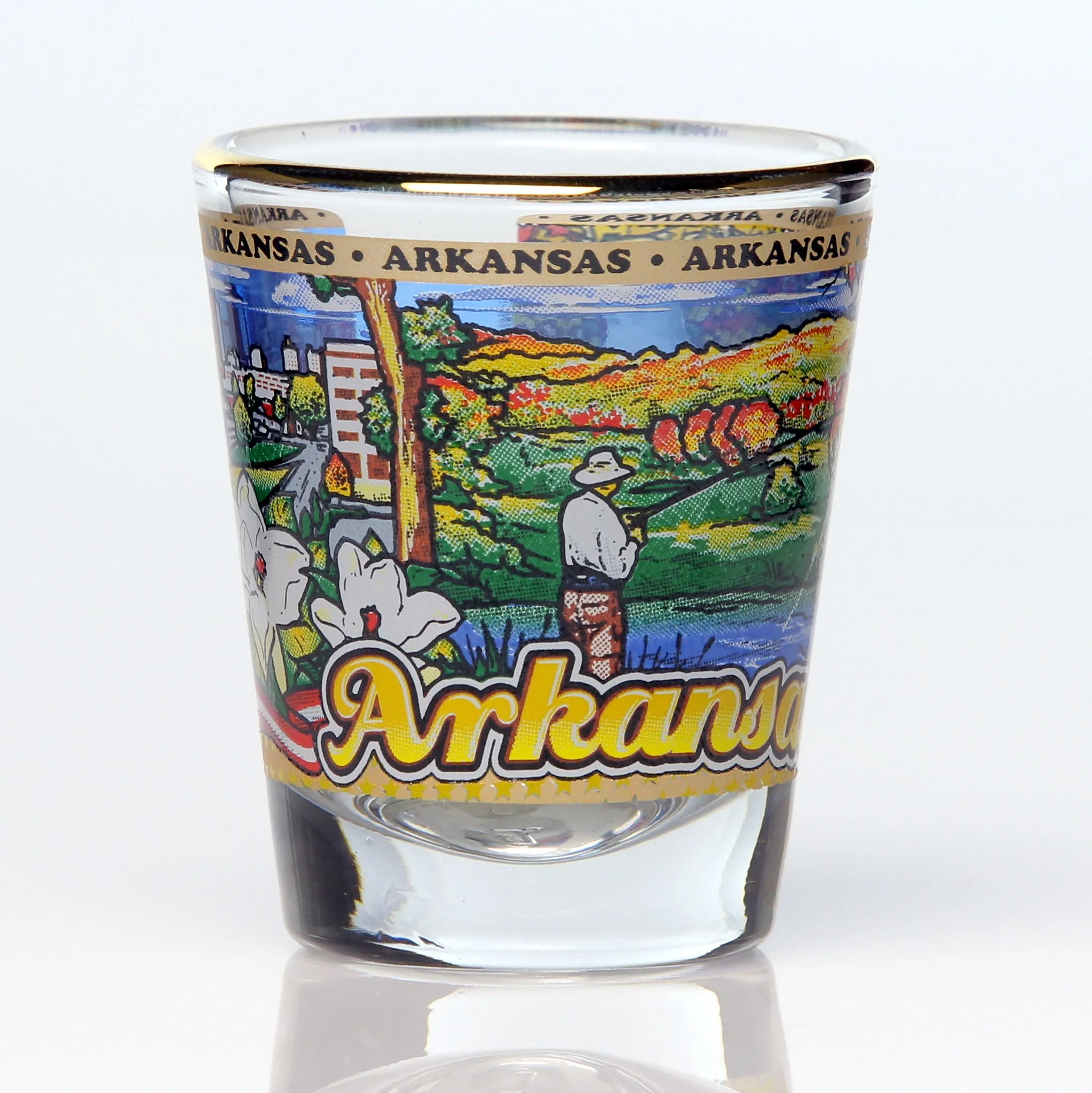 All 50 State Collectible Shot Glasses SET