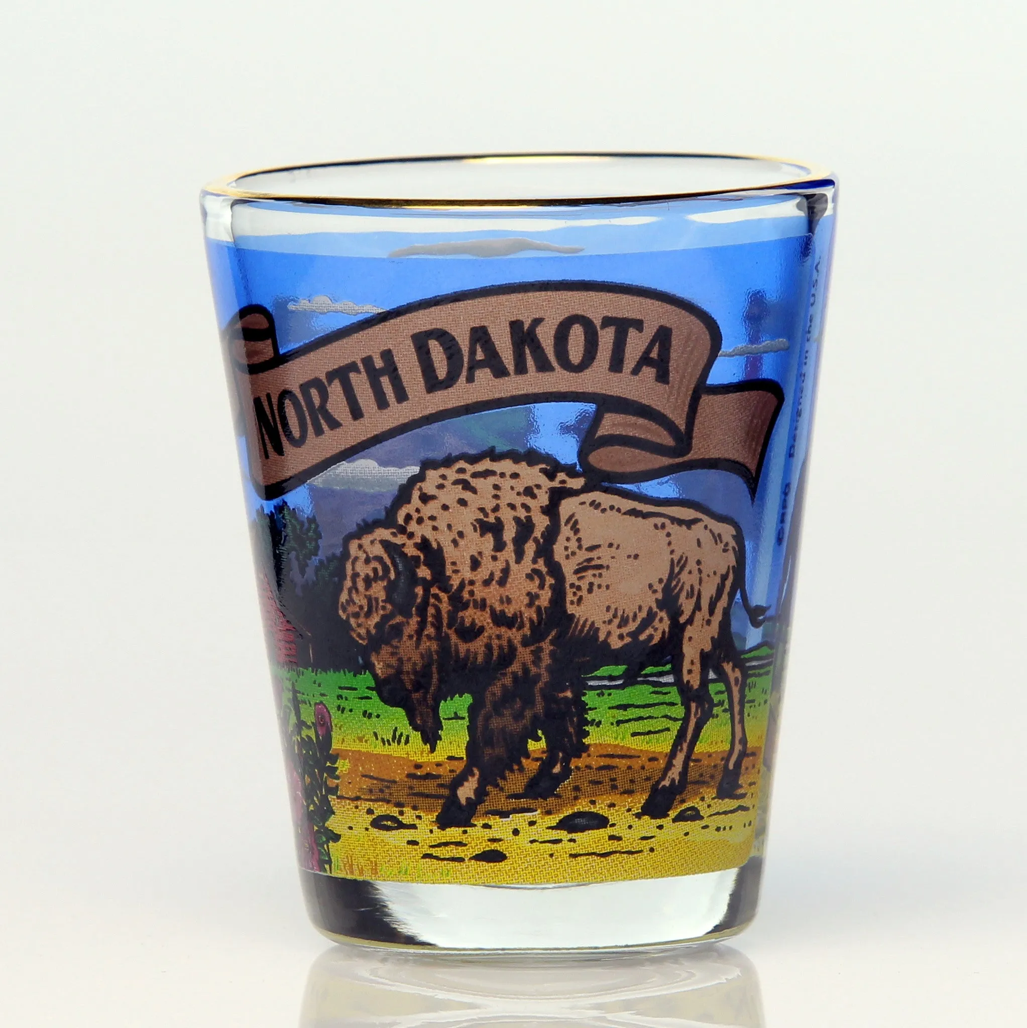 All 50 State Collectible Shot Glasses SET