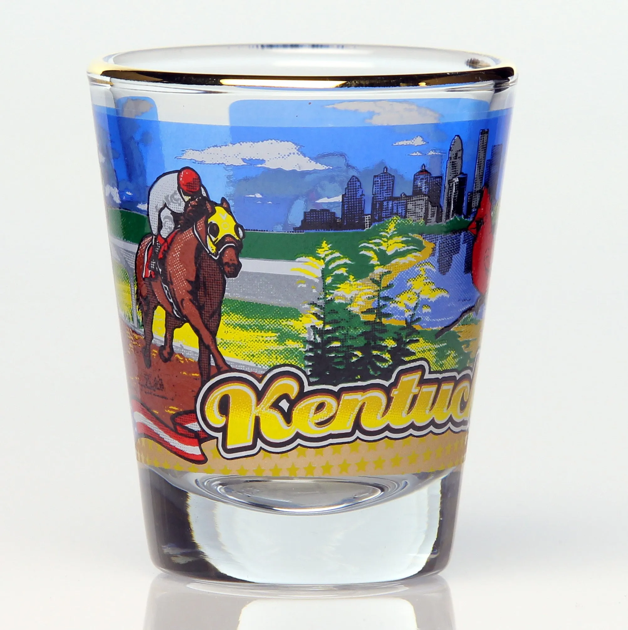 All 50 State Collectible Shot Glasses SET