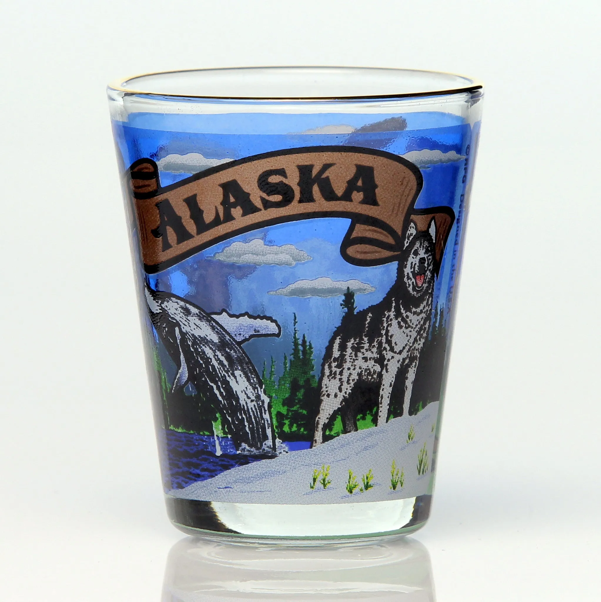 All 50 State Collectible Shot Glasses SET