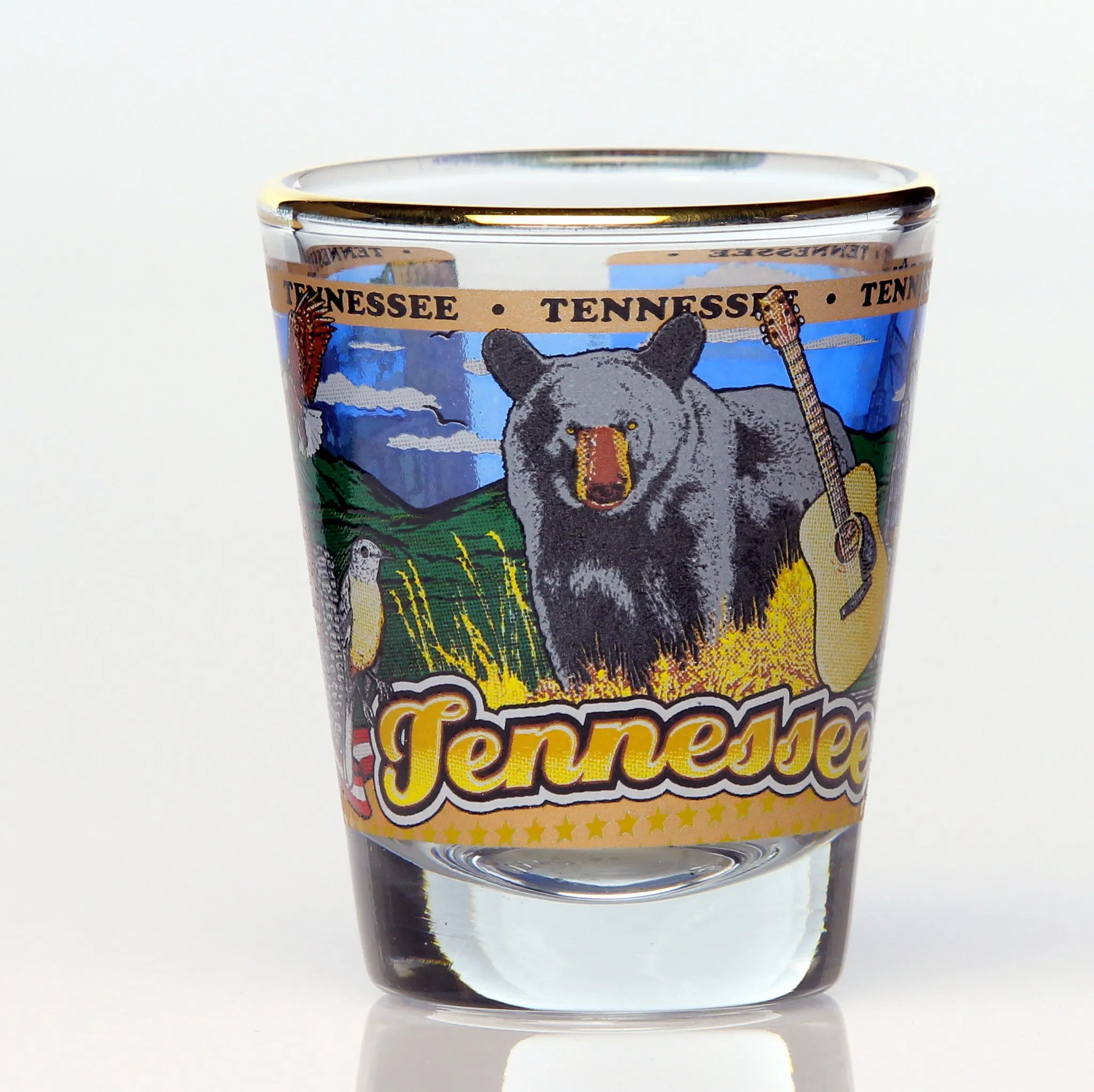 All 50 State Collectible Shot Glasses SET