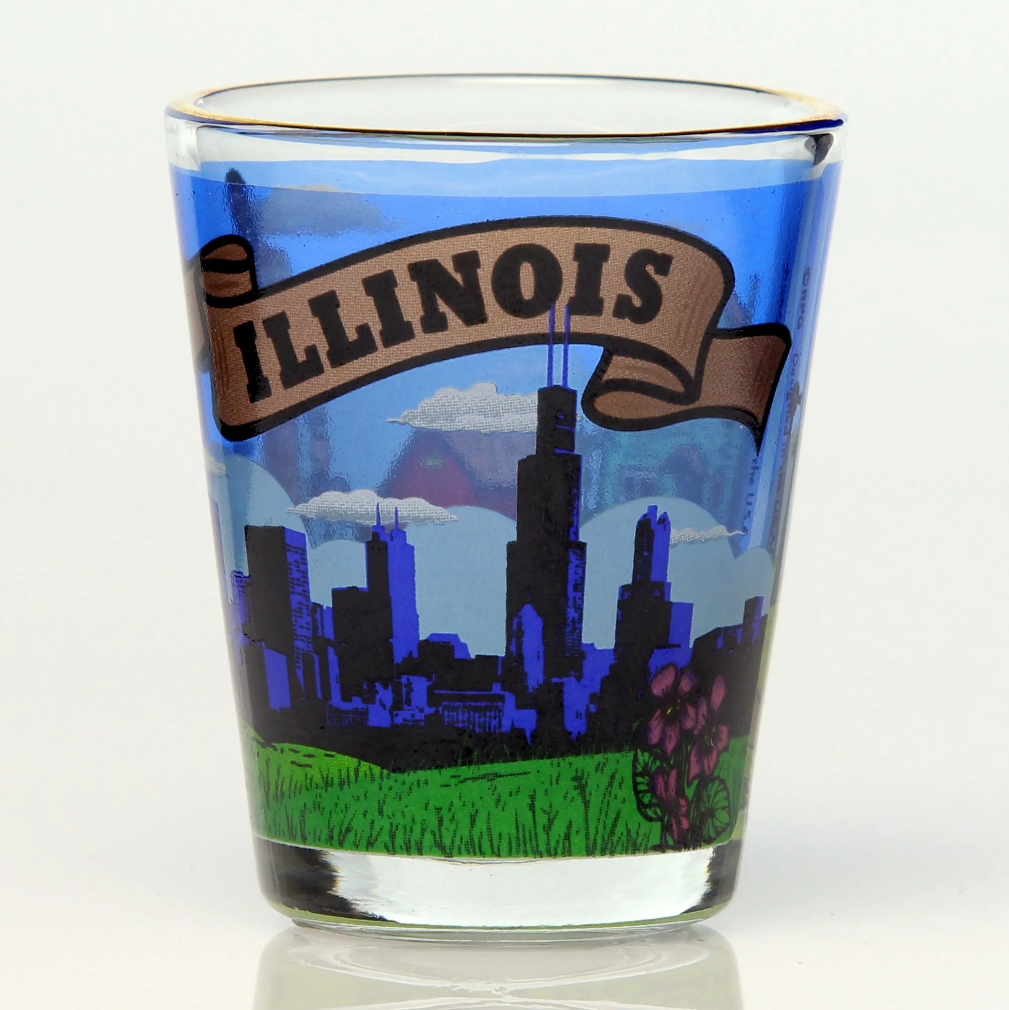 All 50 State Collectible Shot Glasses SET