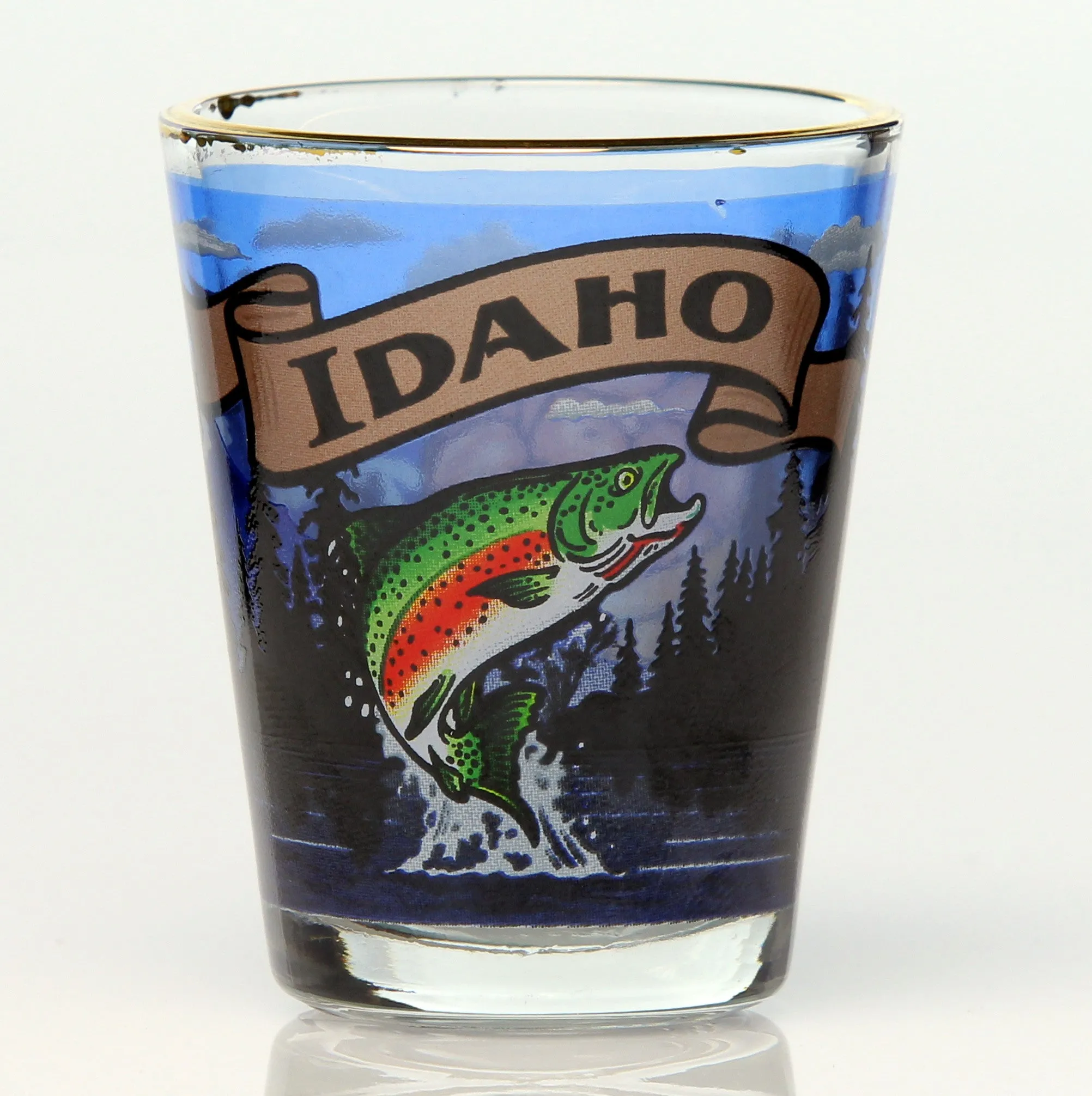 All 50 State Collectible Shot Glasses SET