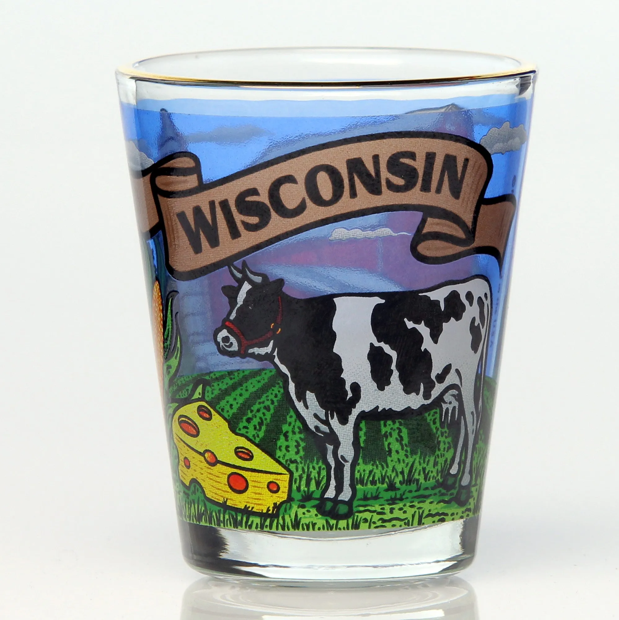 All 50 State Collectible Shot Glasses SET