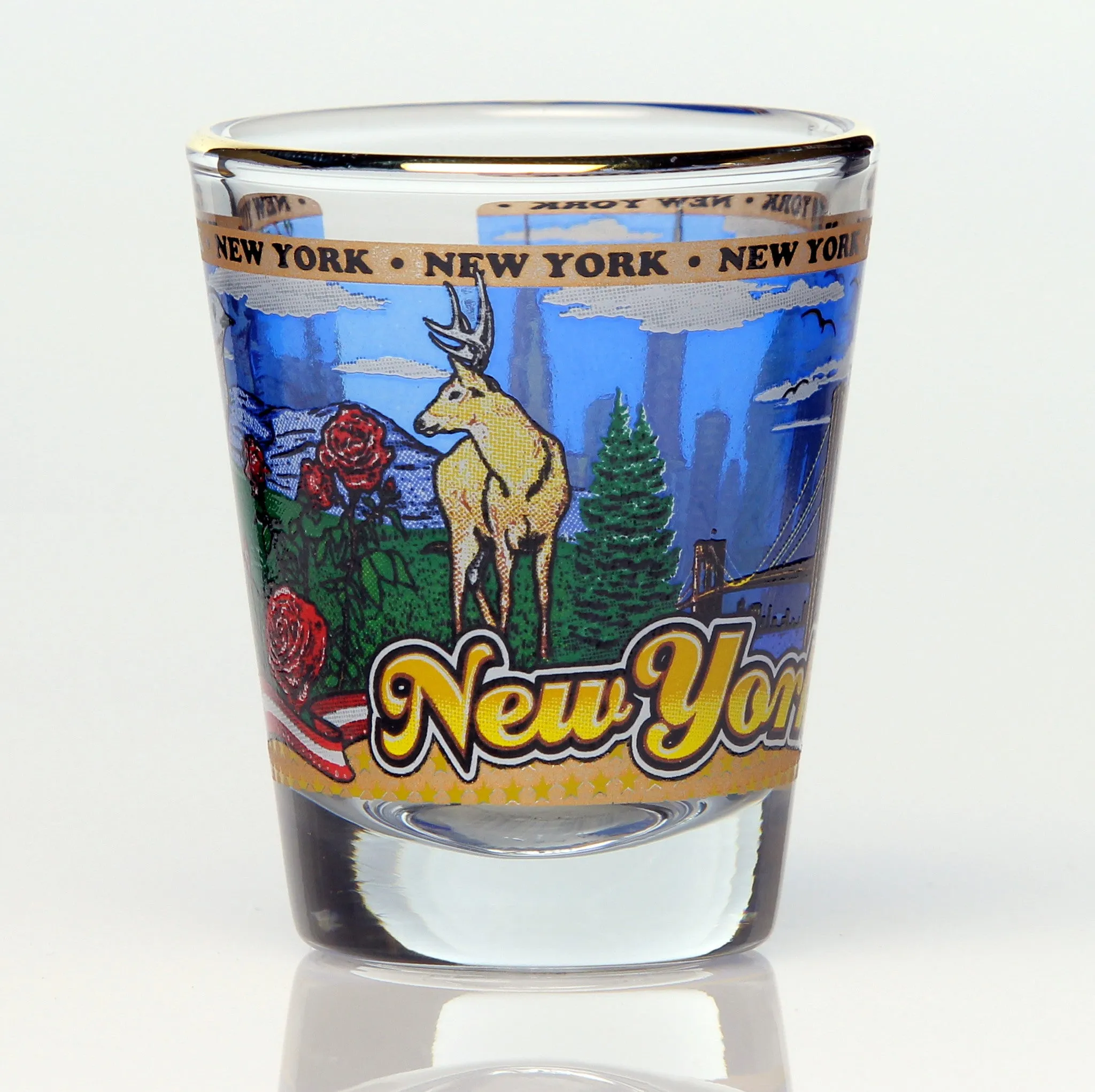 All 50 State Collectible Shot Glasses SET