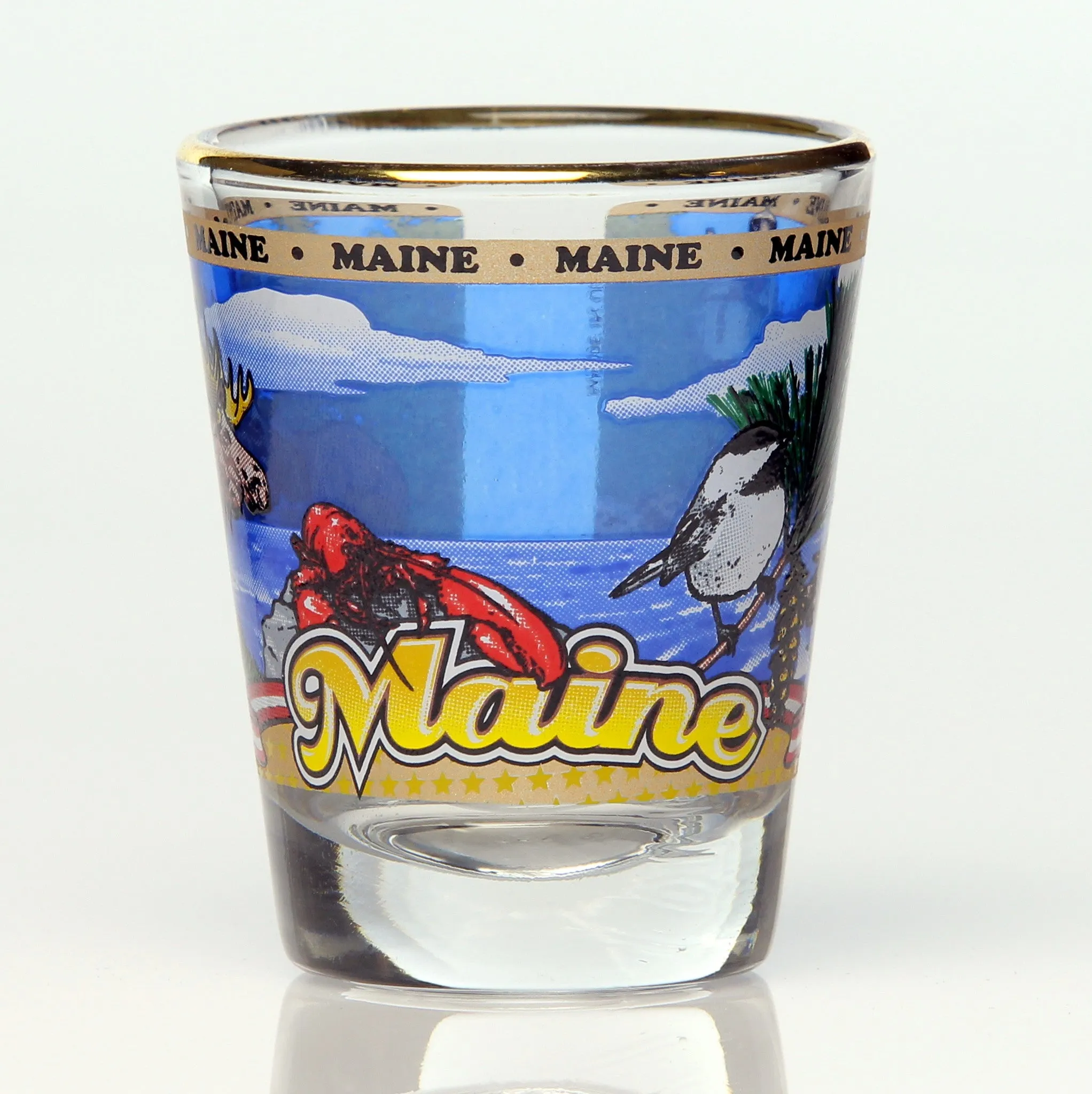 All 50 State Collectible Shot Glasses SET