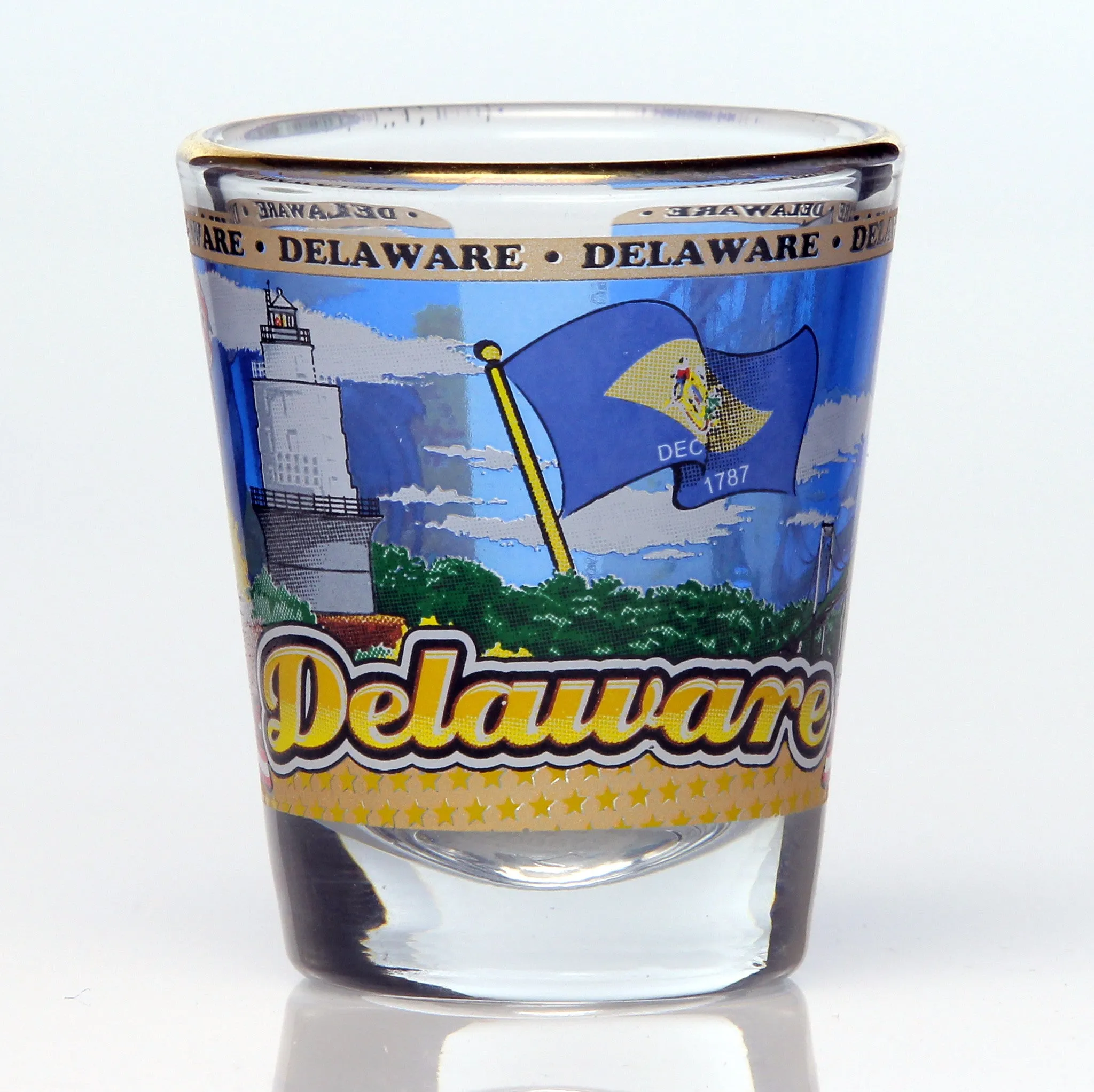 All 50 State Collectible Shot Glasses SET