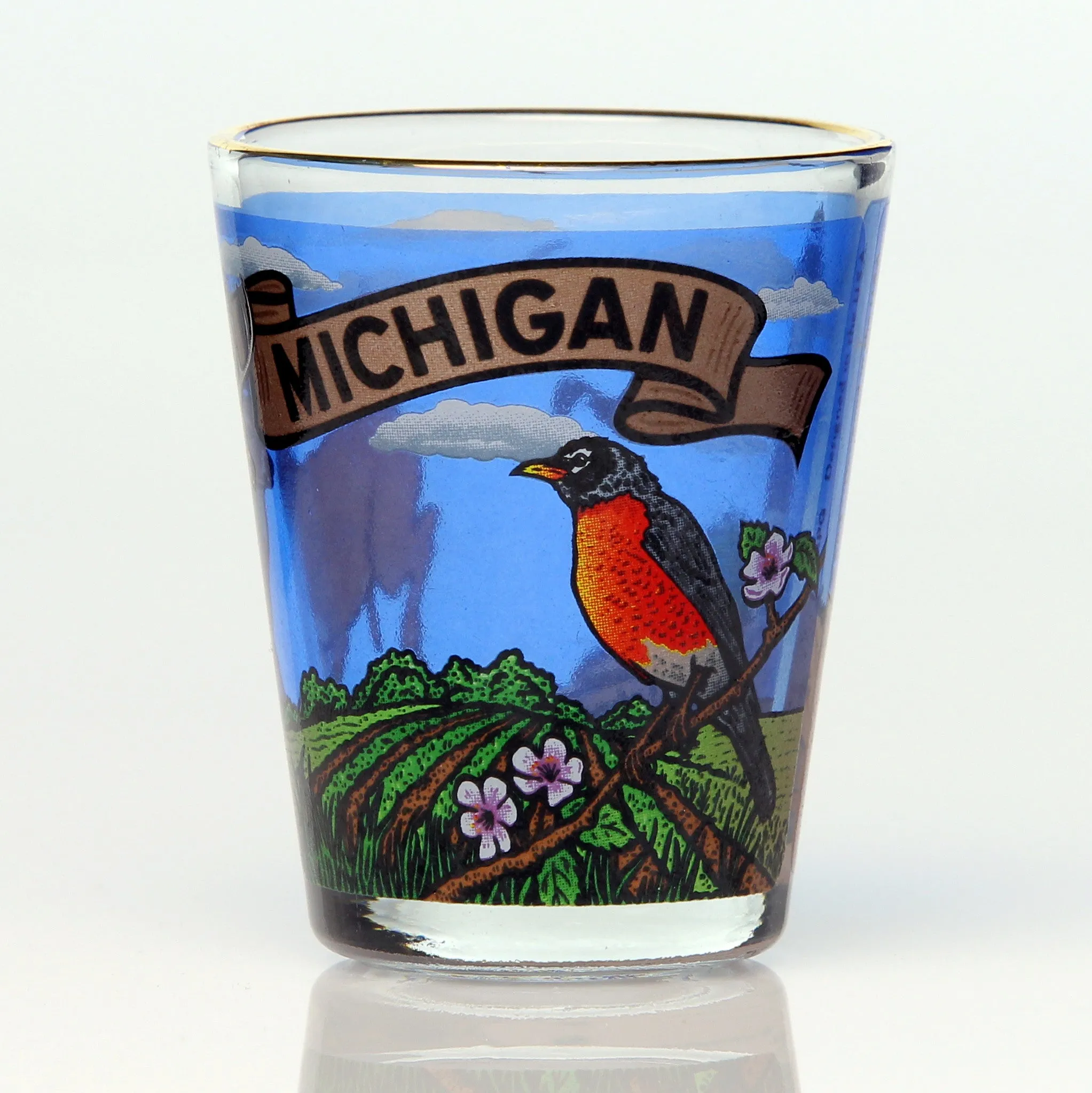 All 50 State Collectible Shot Glasses SET