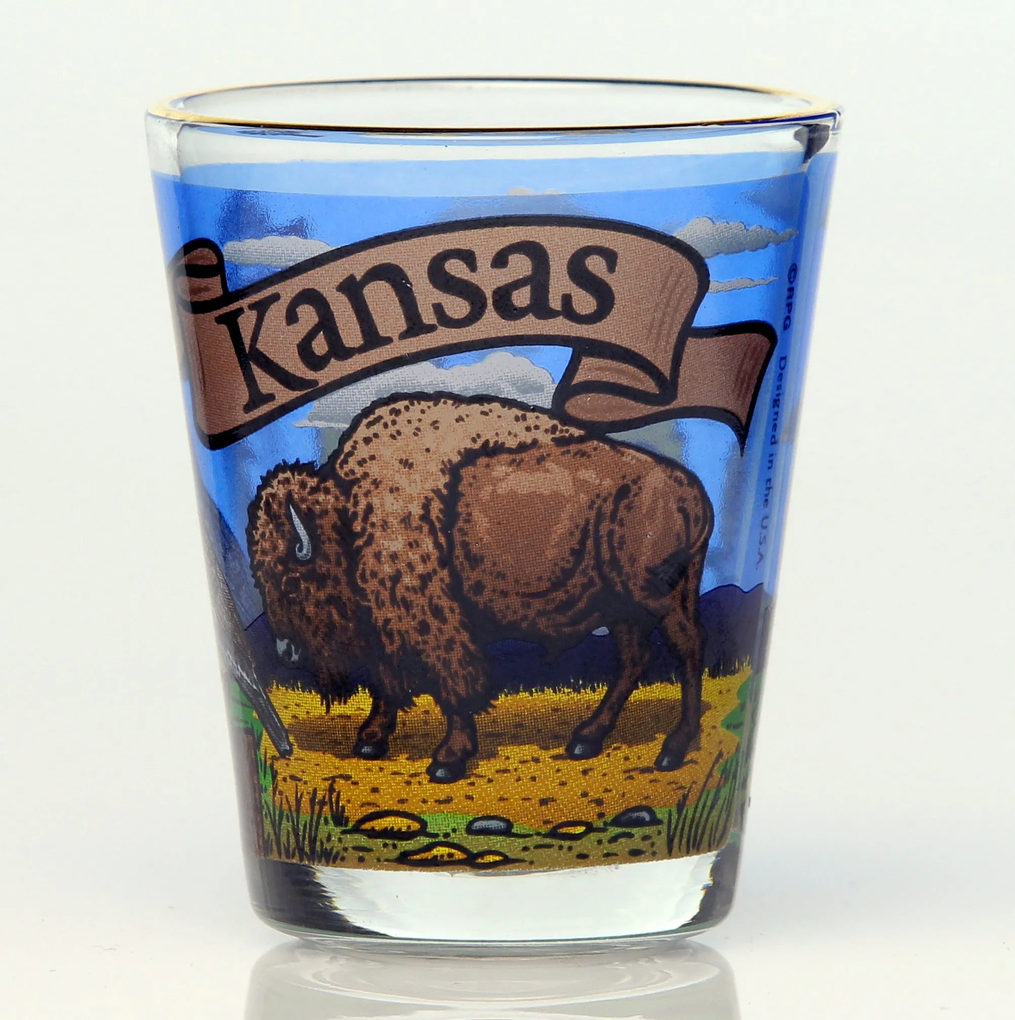 All 50 State Collectible Shot Glasses SET