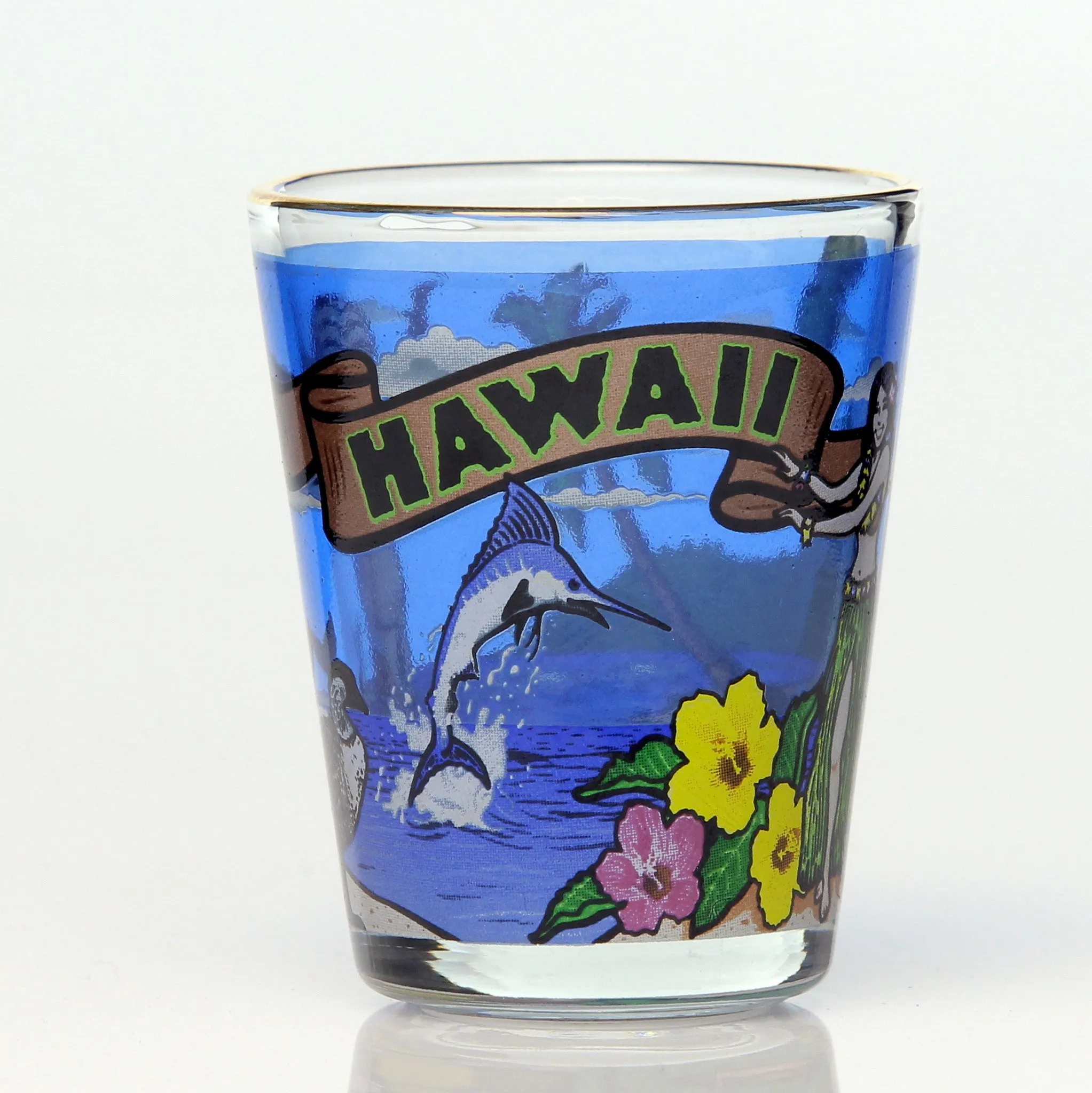 All 50 State Collectible Shot Glasses SET