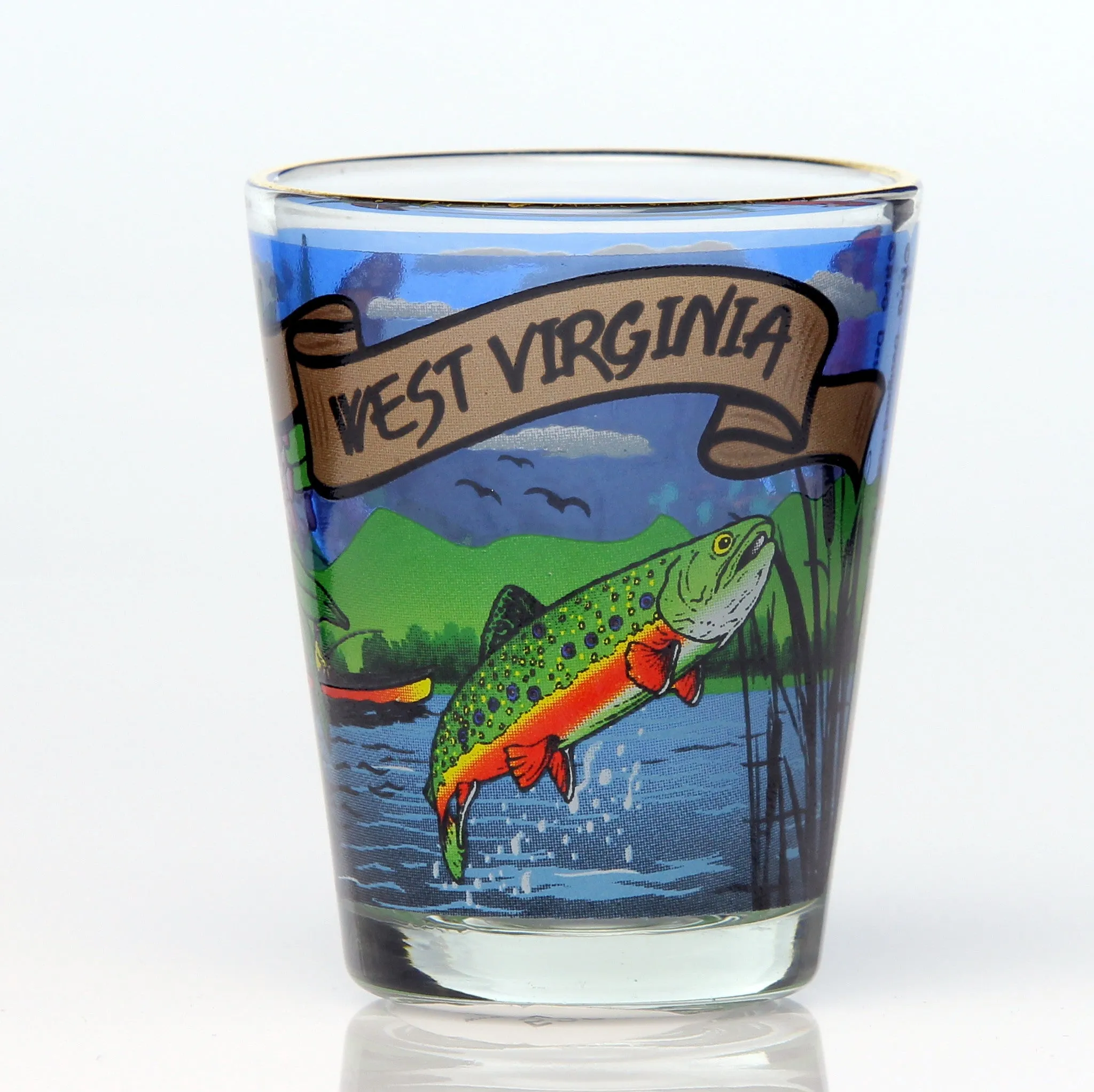 All 50 State Collectible Shot Glasses SET