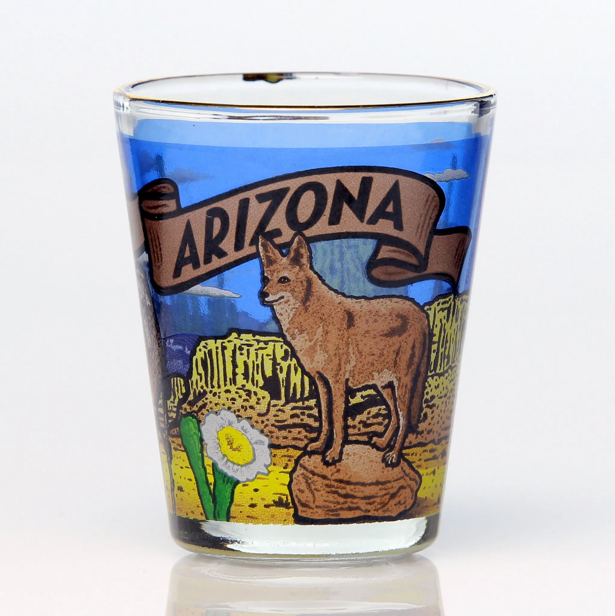 All 50 State Collectible Shot Glasses SET