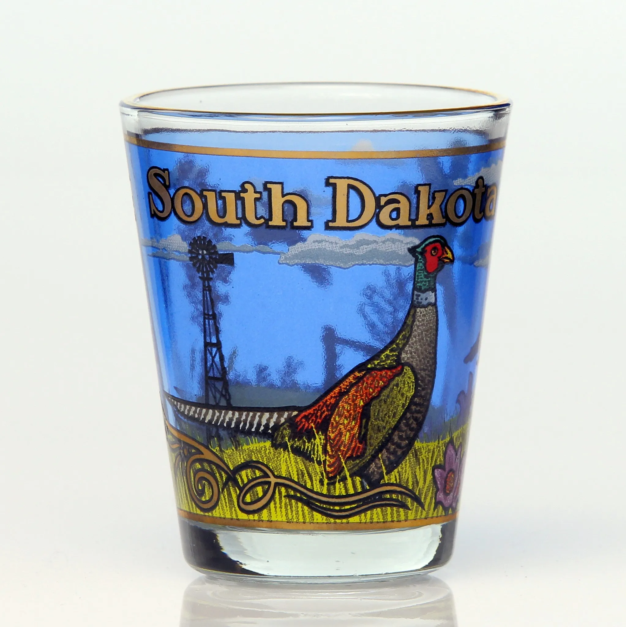 All 50 State Collectible Shot Glasses SET