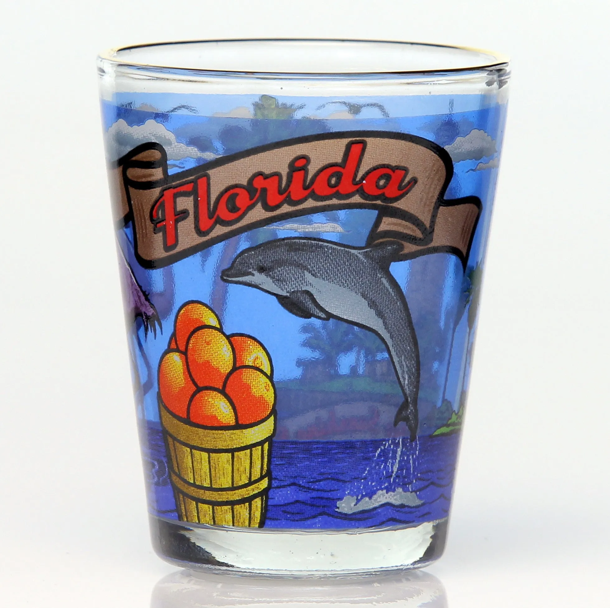 All 50 State Collectible Shot Glasses SET