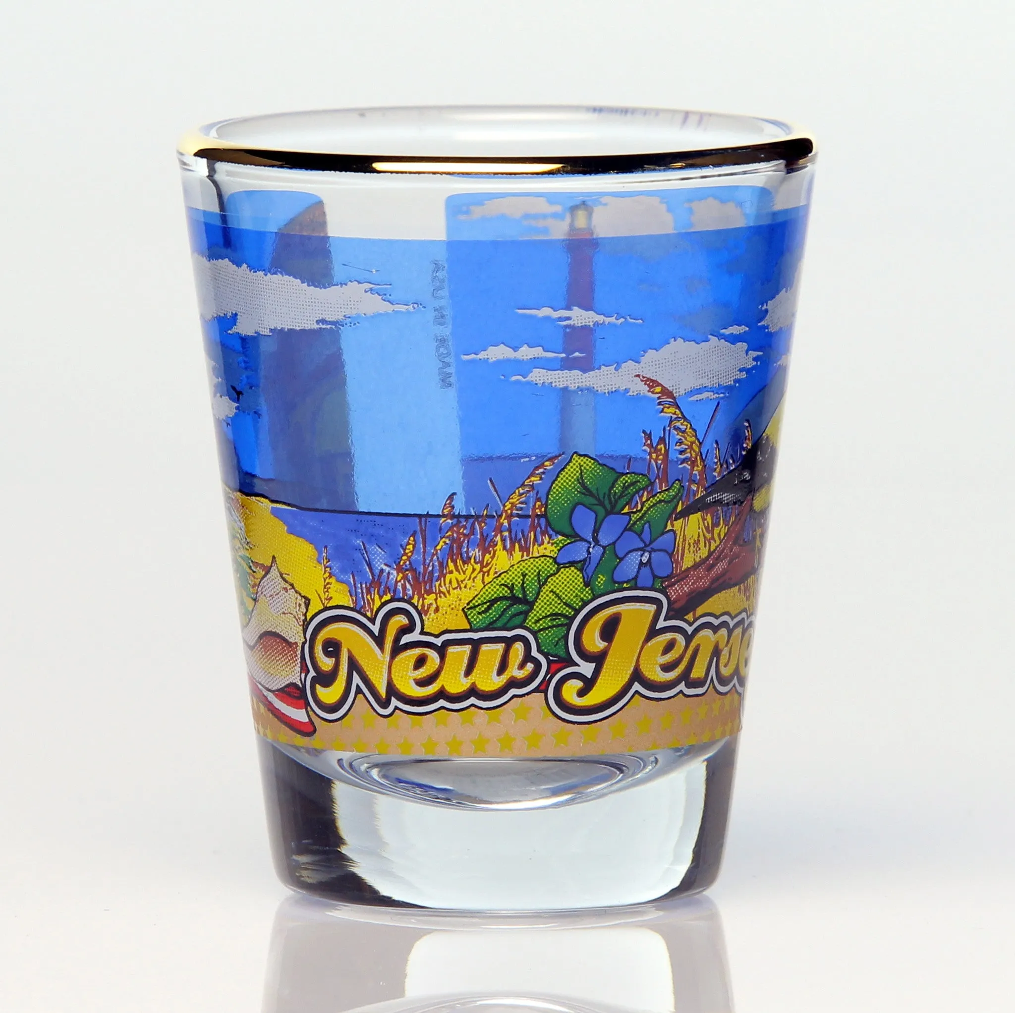 All 50 State Collectible Shot Glasses SET