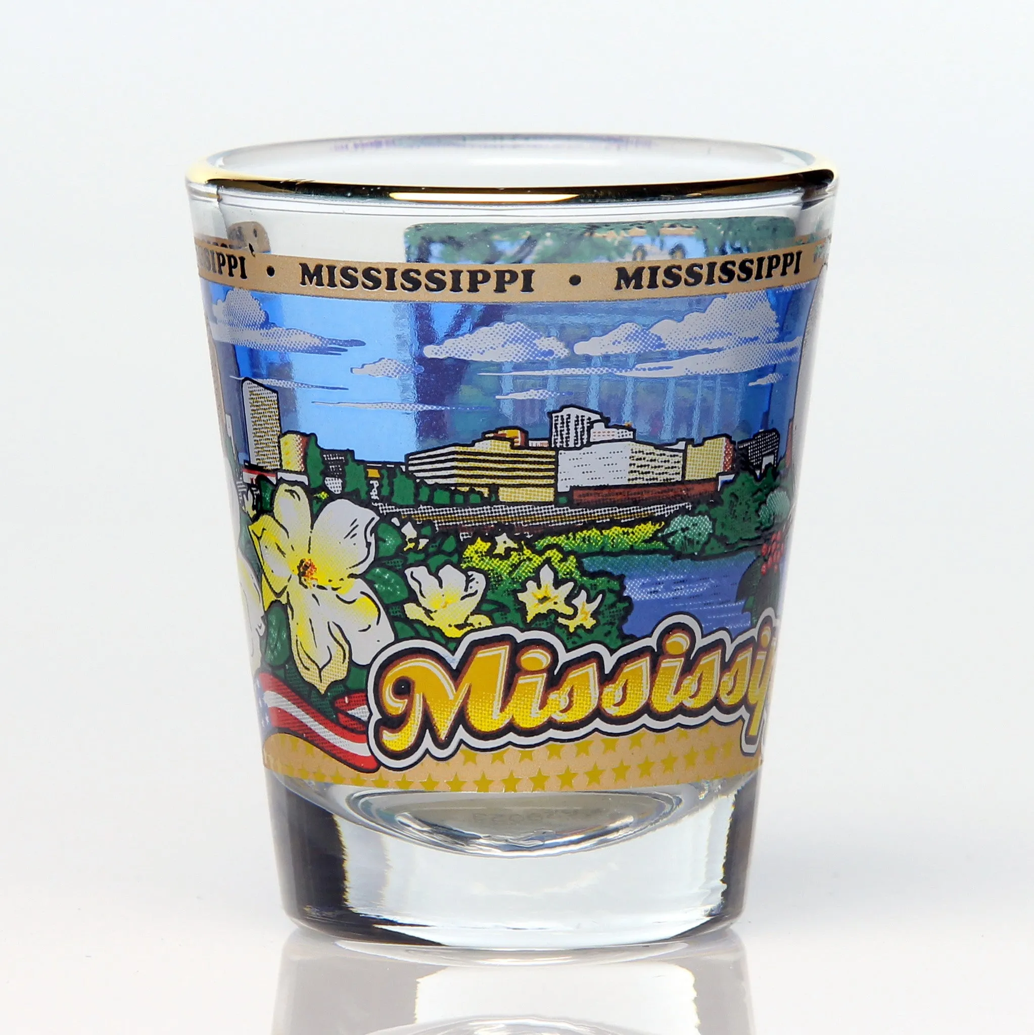 All 50 State Collectible Shot Glasses SET