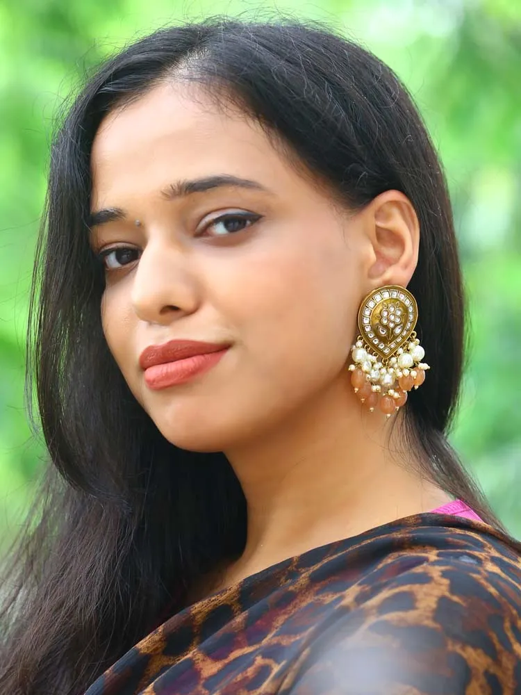 Brown Charmi Dangler Earrings