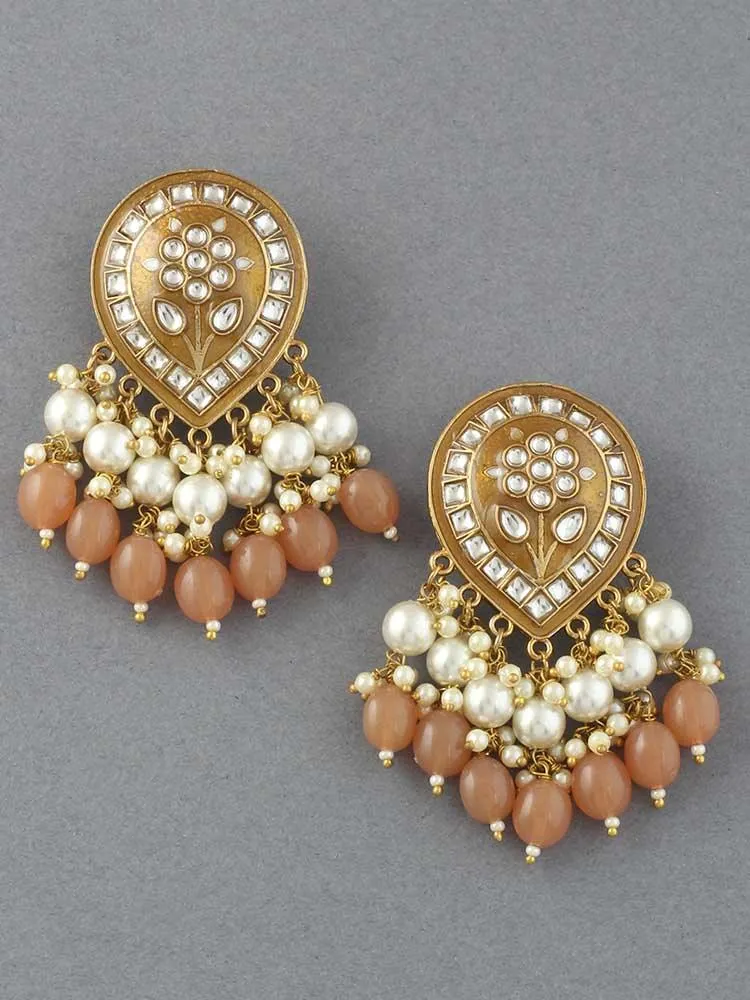 Brown Charmi Dangler Earrings