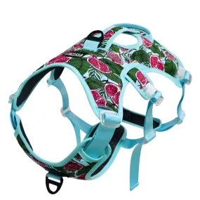 Colorful No-Pull Escape-Proof Harness