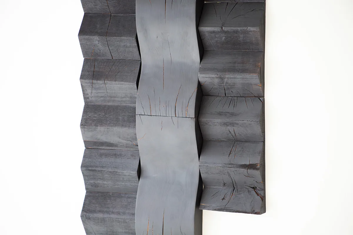 Shou Sugi Ban Wood Wall Panels - Peaks and Waves - 5322